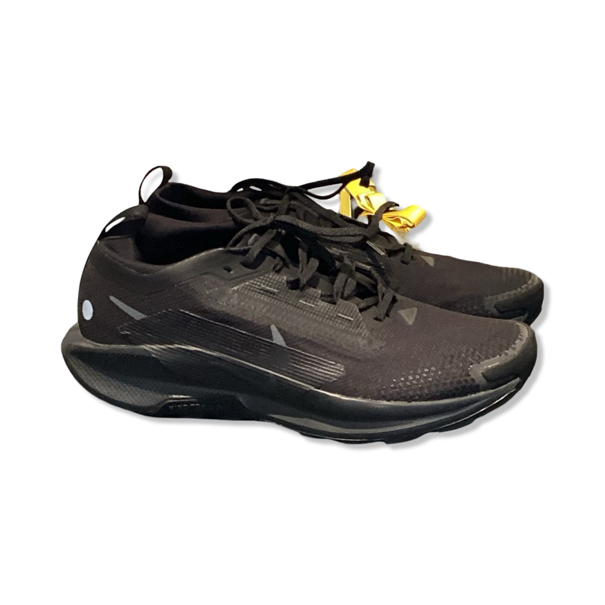 Löparskor Nike Pegasus Trail 5 GORE-TEX Herr 44