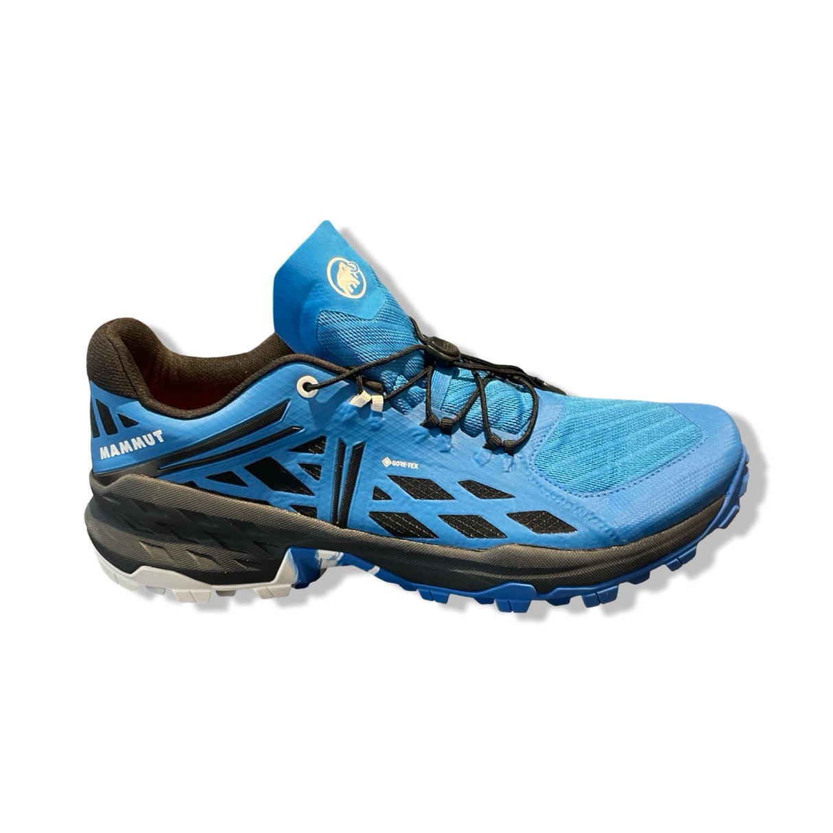 Men's Mammut Sertig TR Low GTX Training Shoes 46