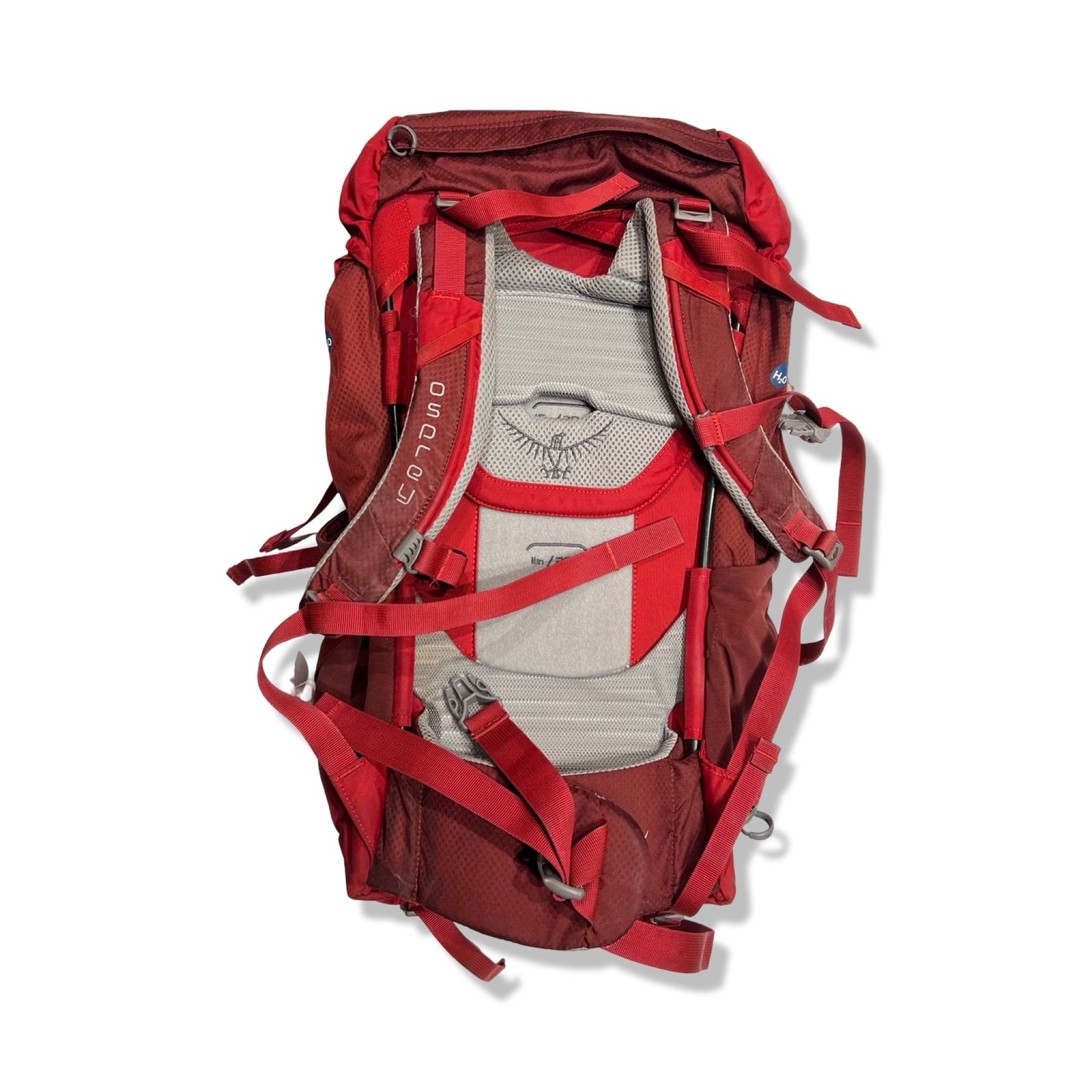 Ryggsäck Osprey Ace Barn 38