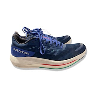 Träningsskor Salomon Spectur Herr 44