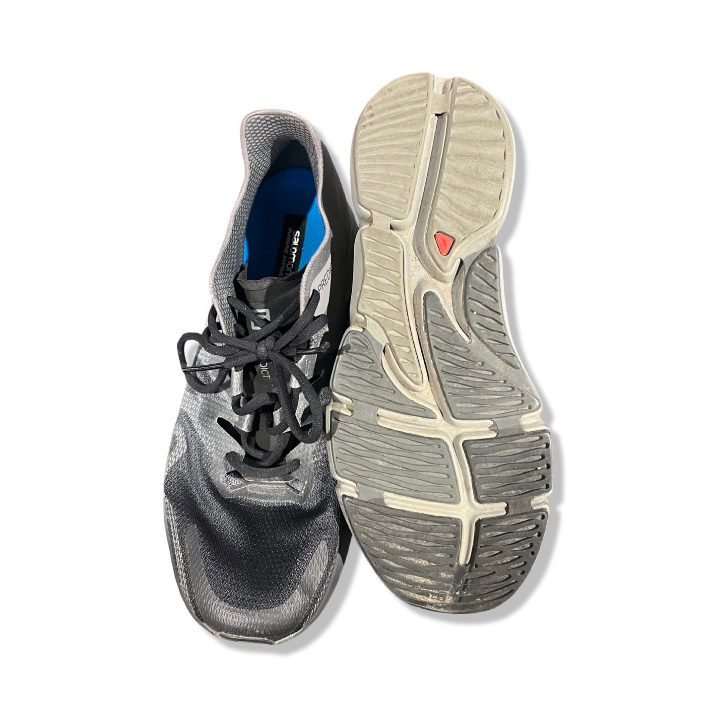 Löparskor Salomon Predict RA Herr 46 2/3