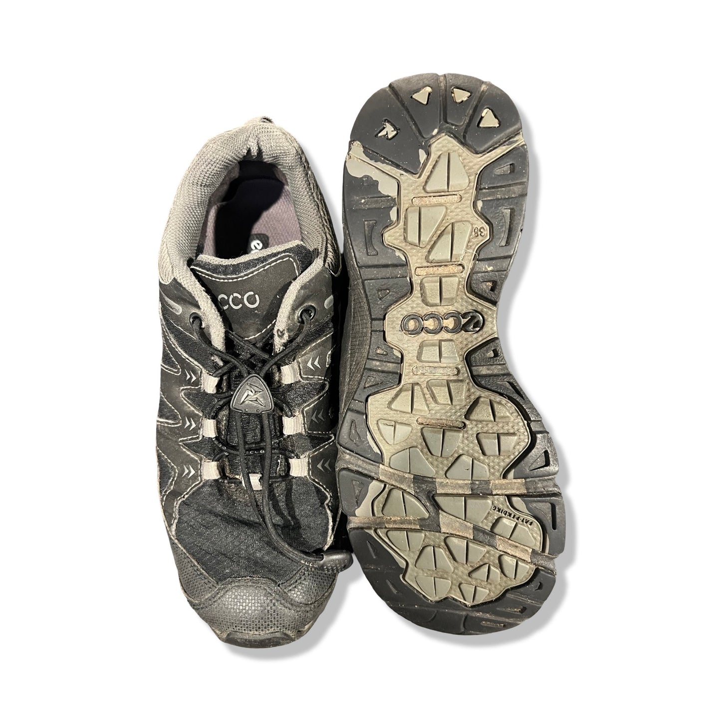 Vandringsskor Ecco Receptor GTX Dam 38