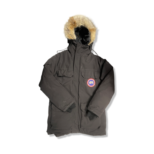 Dunjacka Canada Goose Canada Herr S