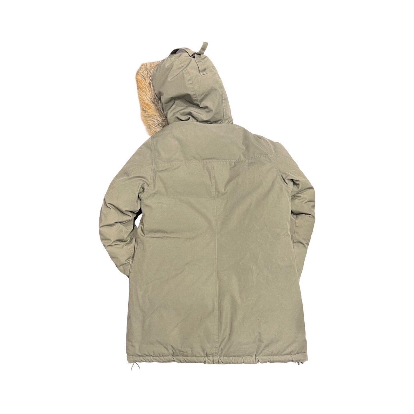 Baksidan av Peak Performance Down Parka dunjacka för dam i grönt, fotograferad mot en vit bakgrund.